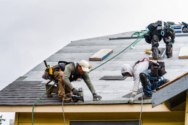 Professional Roofing technician working in Olema, CA